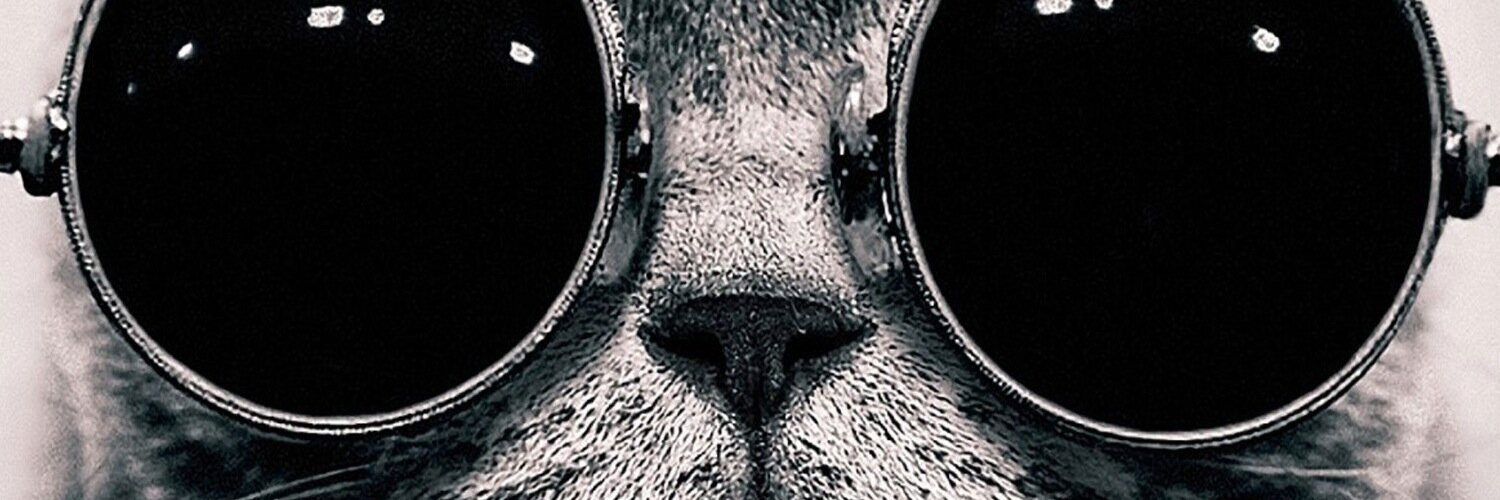 BassBeing's profile banner image