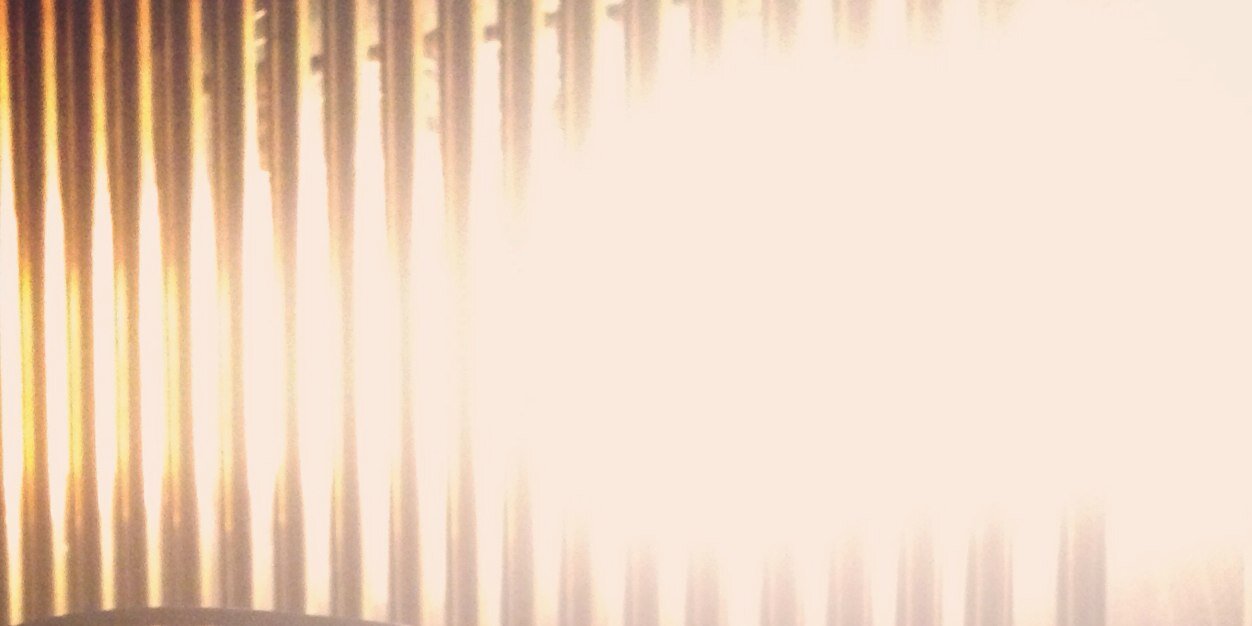 AnusPonytail's profile banner image