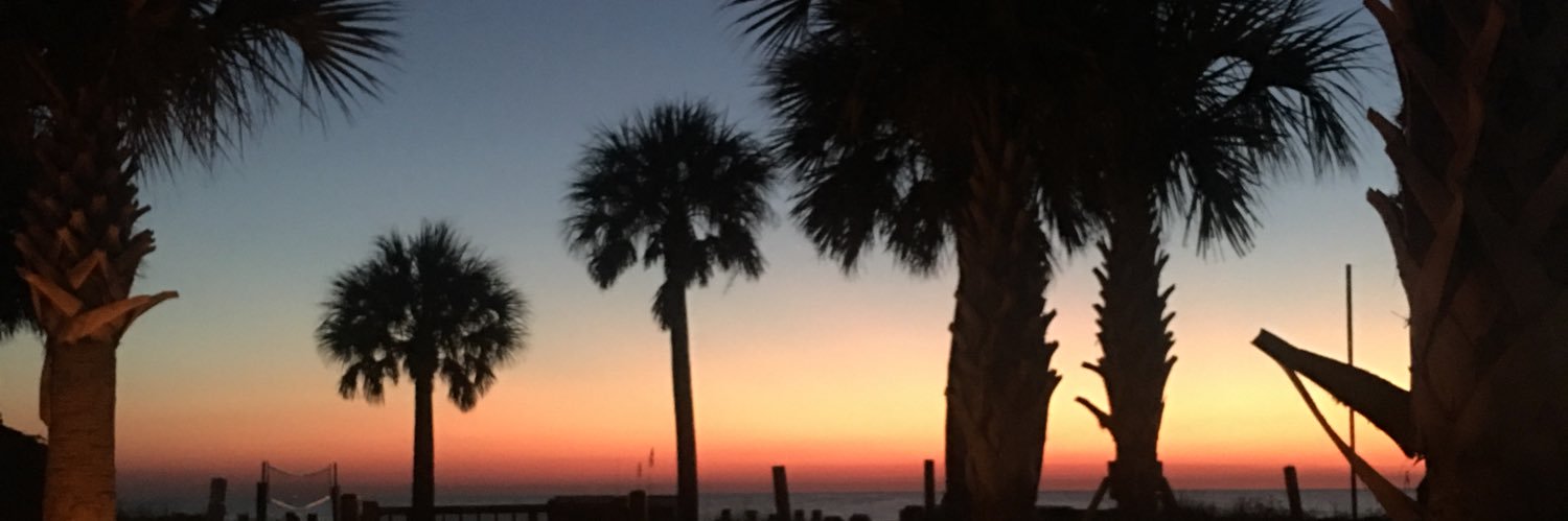 ellencotrill's profile banner image