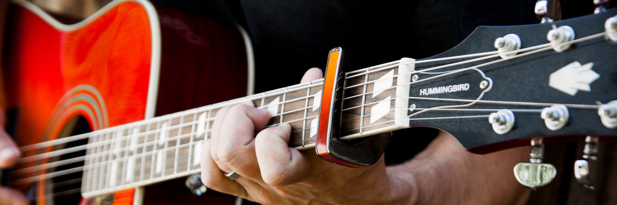 Thalia Capos & Picks banner
