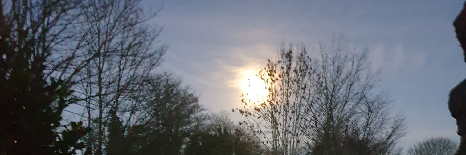 MrsTNorthYorks's profile banner image