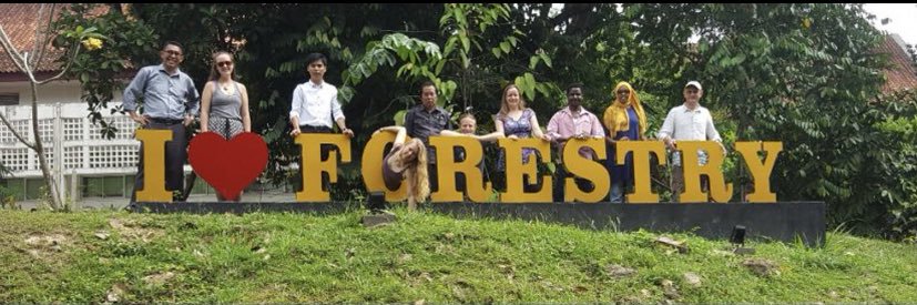 forestry_guy12's profile banner image