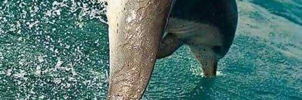 moni49 Profile Banner