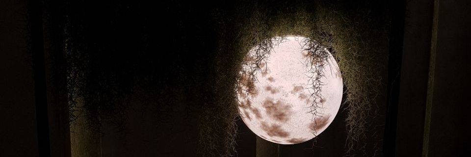 UNQIUEeee's profile banner image
