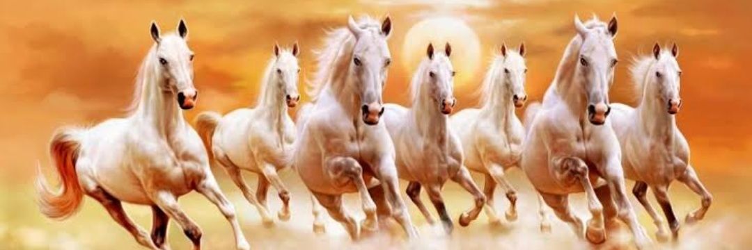 sahdev75783637's profile banner image