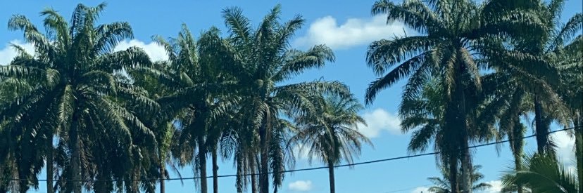 _ColombeNoire's profile banner image