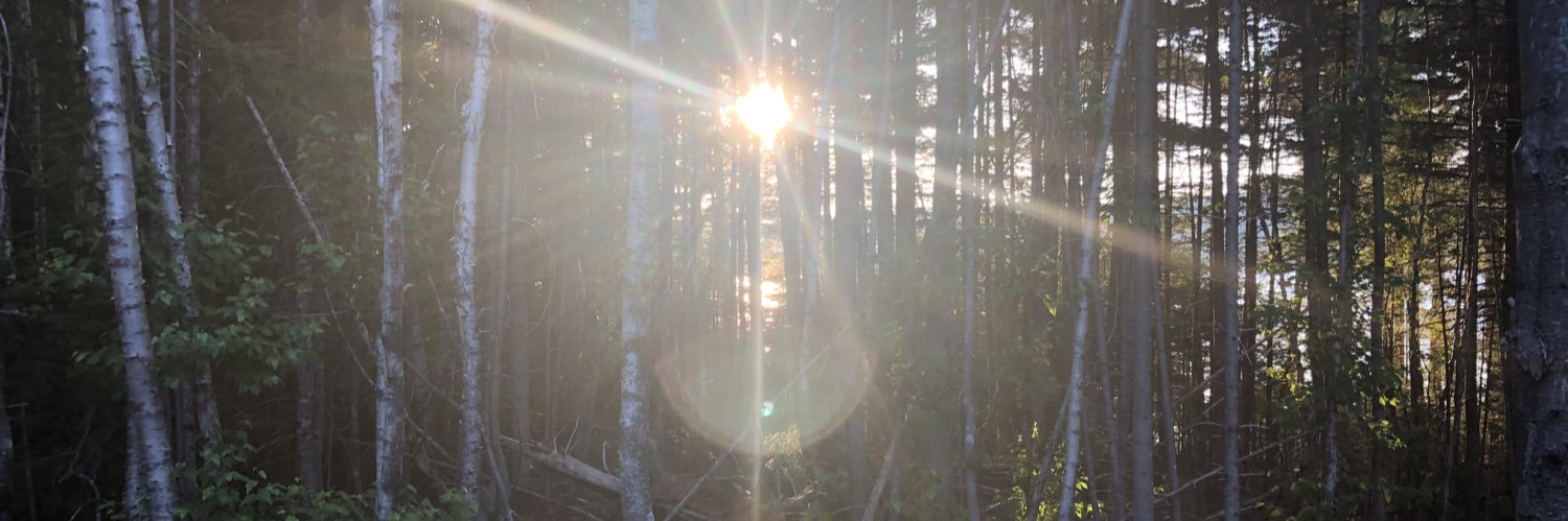 DaveGGeyer's profile banner image