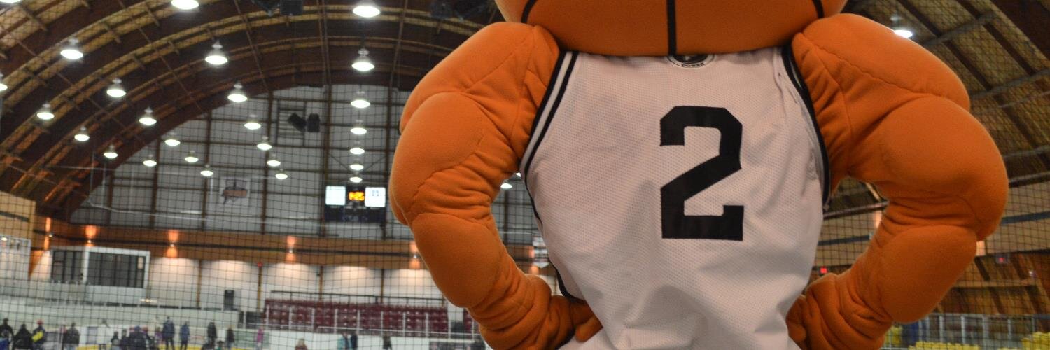 POW The Mascot banner
