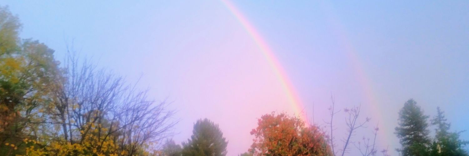 ChewTimer1's profile banner image
