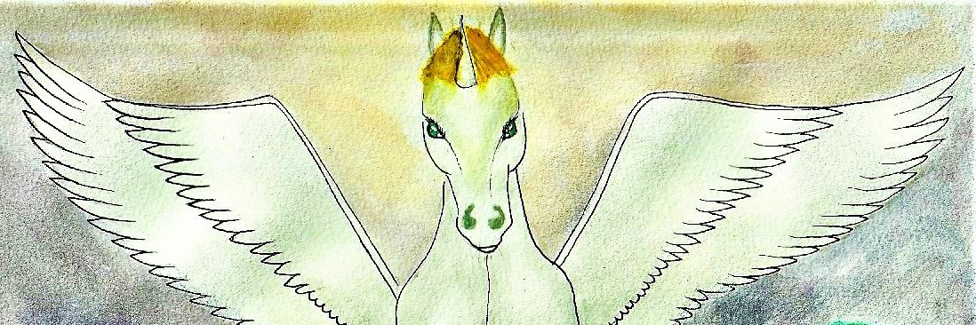tanicorn's profile banner image