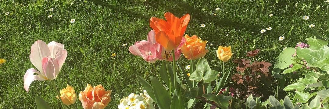 CaraHaussler's profile banner image