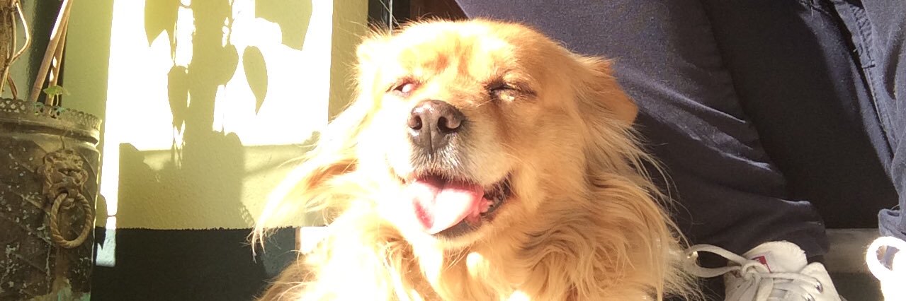 ritallious's profile banner image