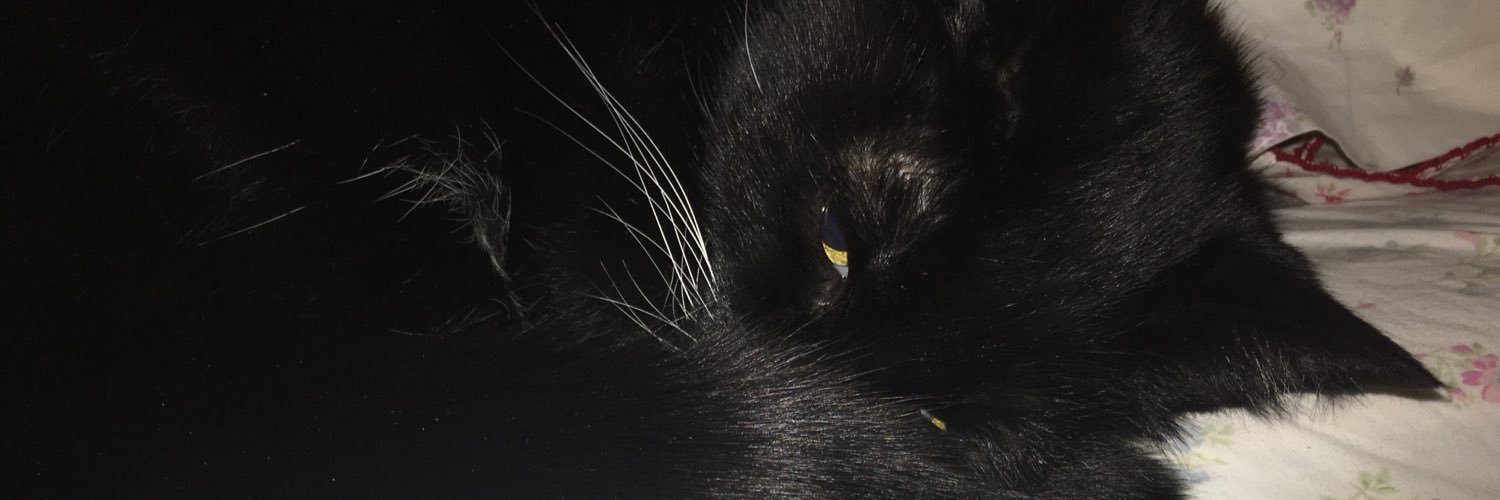 ashleyfay's profile banner image