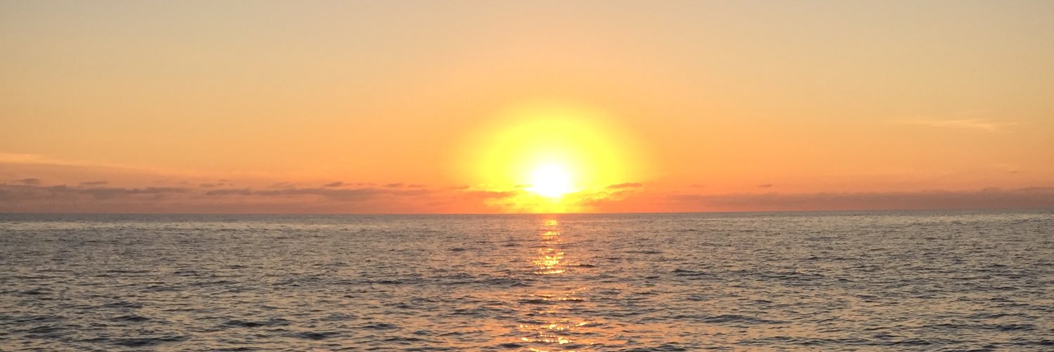 SikesCourtney's profile banner image