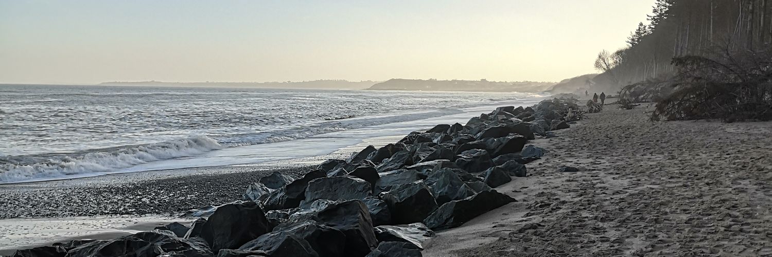 anne_maddock's profile banner image