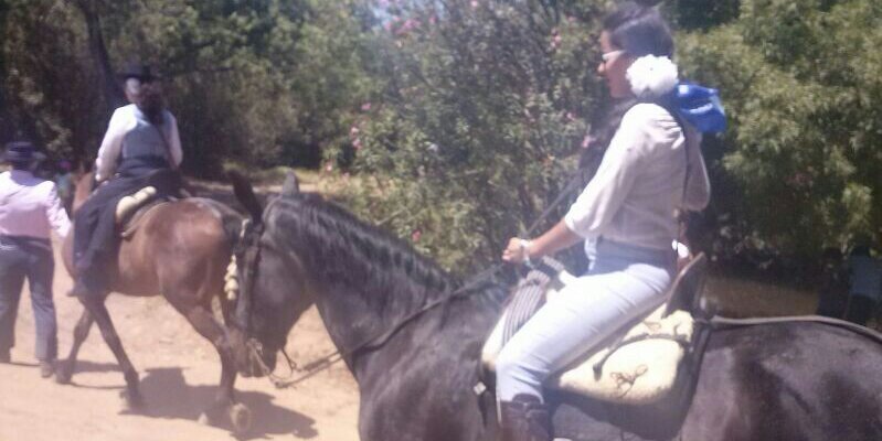 ElsaLeo2's profile banner image