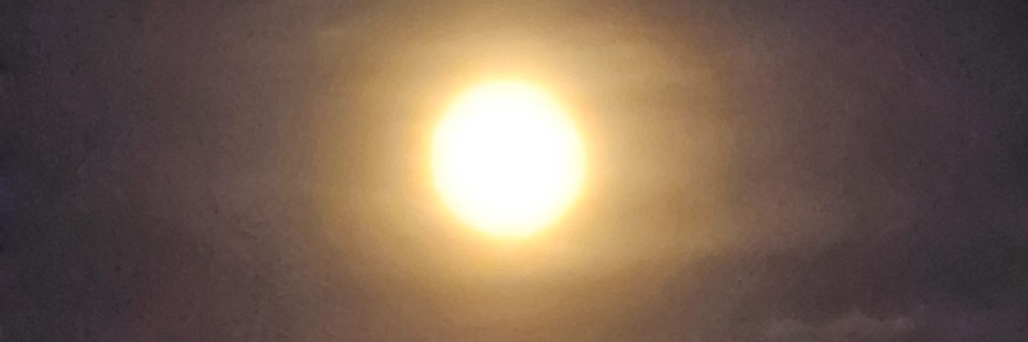 kibamu85's profile banner image