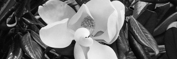 kfleming1889 Profile Banner