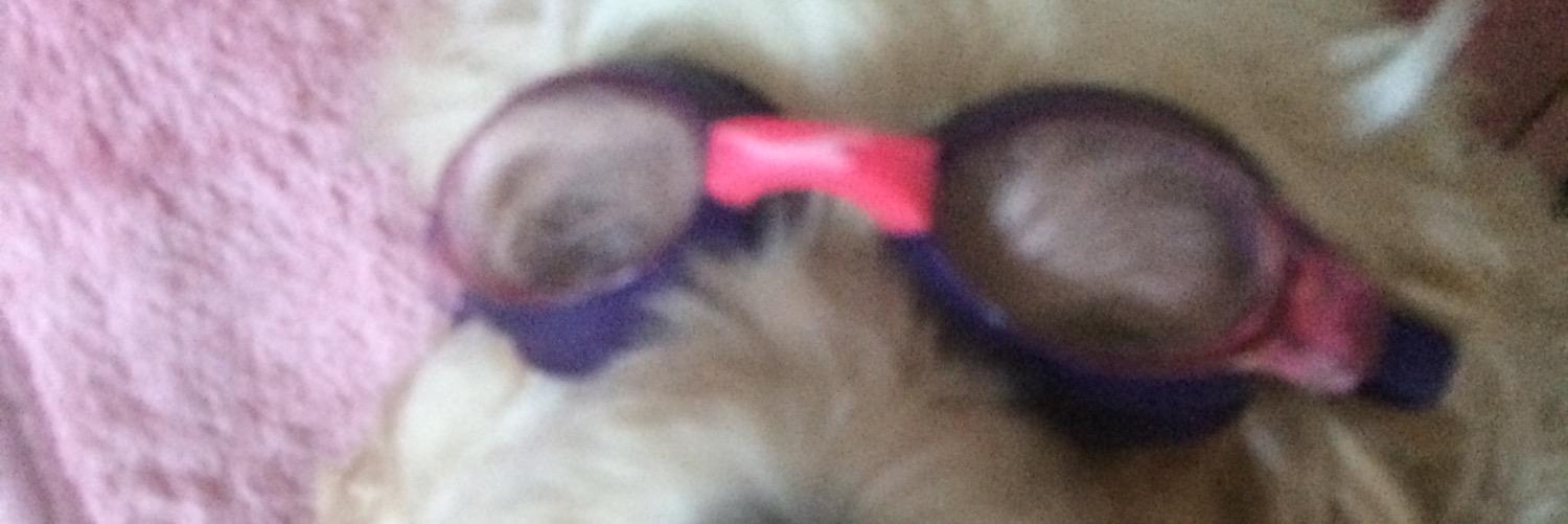 els_head's profile banner image