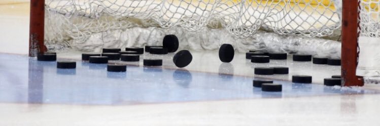 lamplighterhockey banner