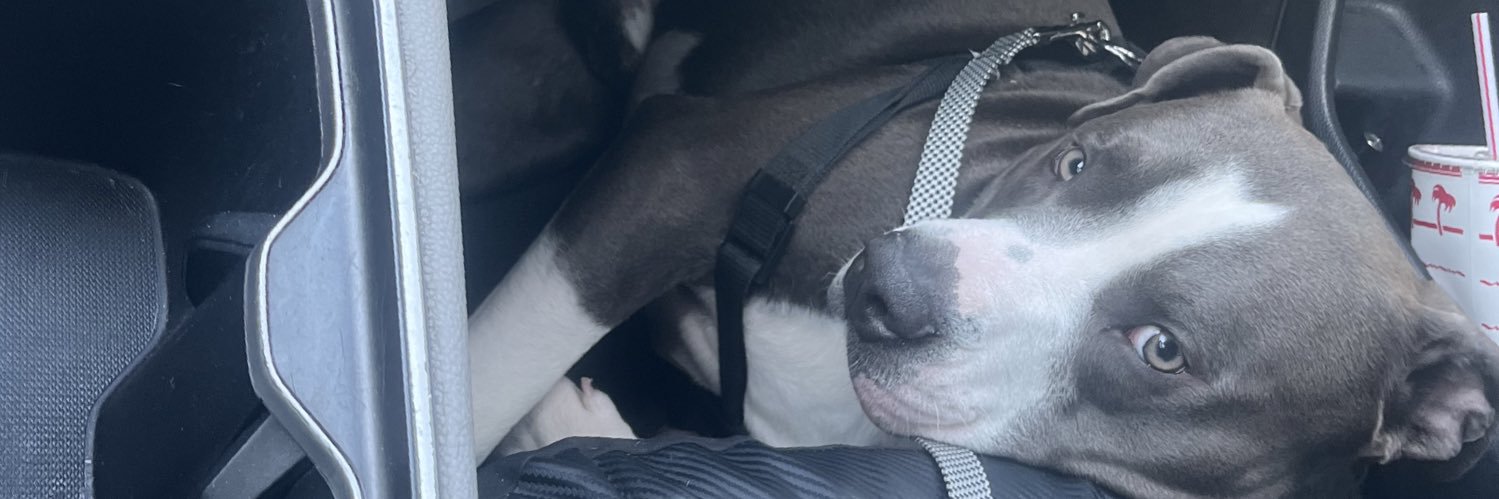hokulanni_'s profile banner image