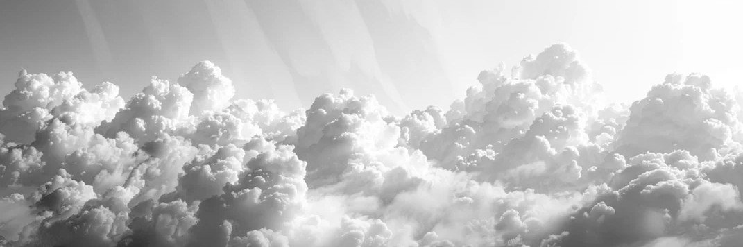 KactusCartoon's profile banner image