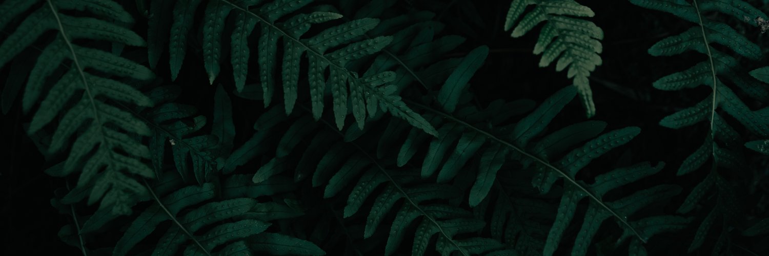 RaoulRosss's profile banner image