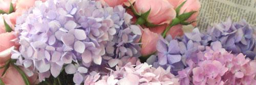 ctng_'s profile banner image