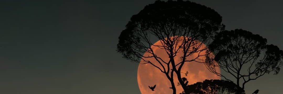 andarusn's profile banner image