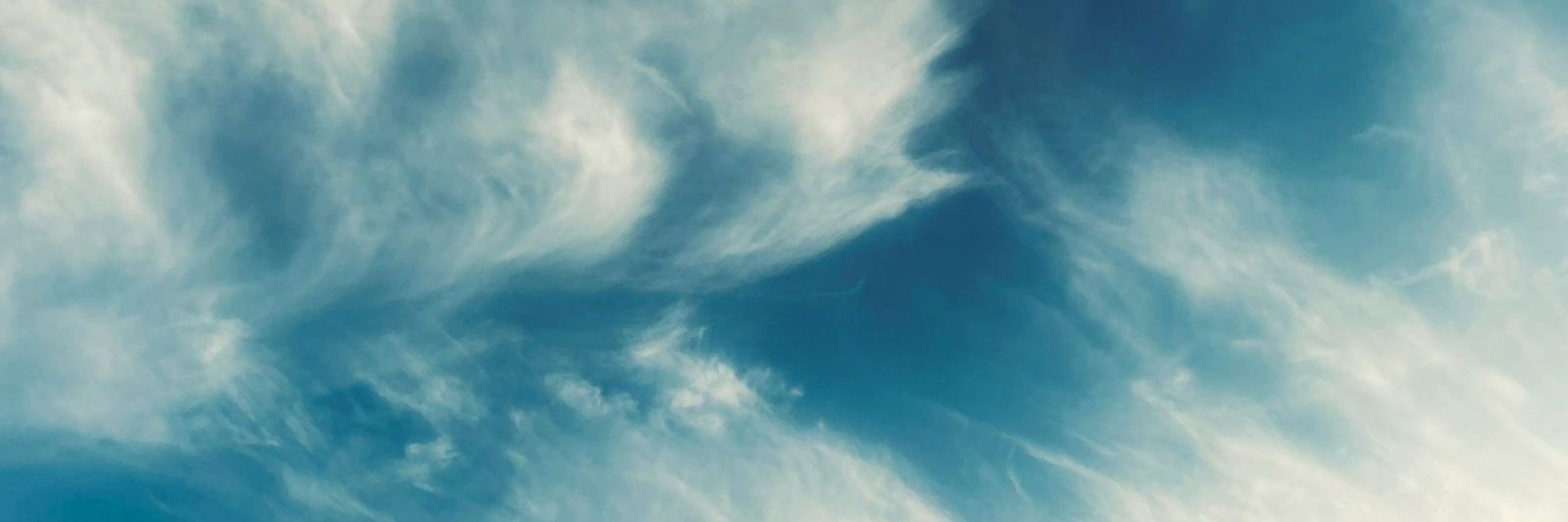 cecicolombox's profile banner image