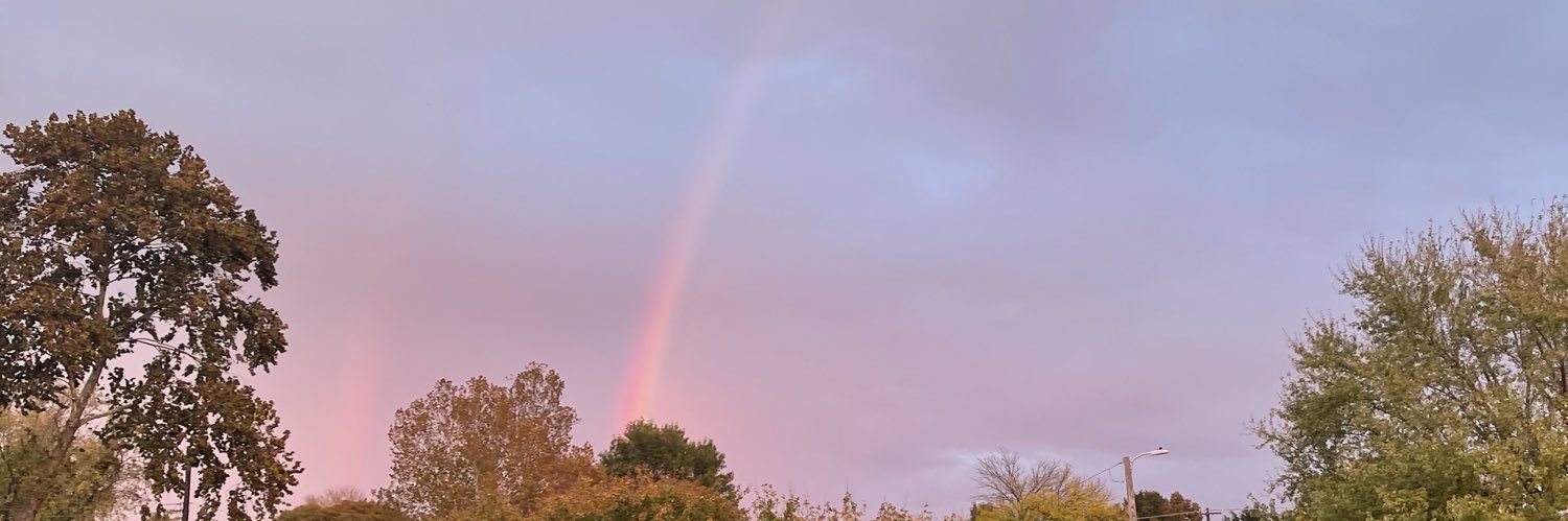 julialewis_'s profile banner image