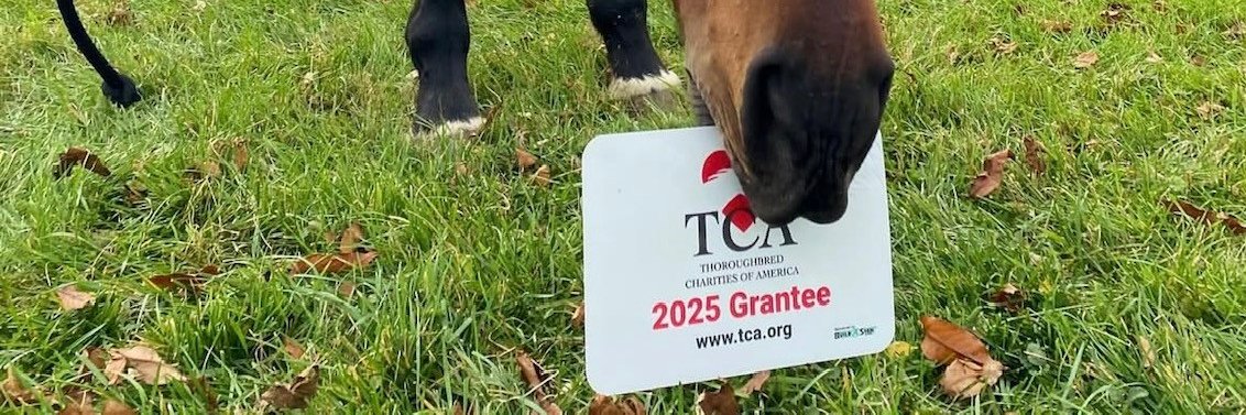TBCharities's profile banner image