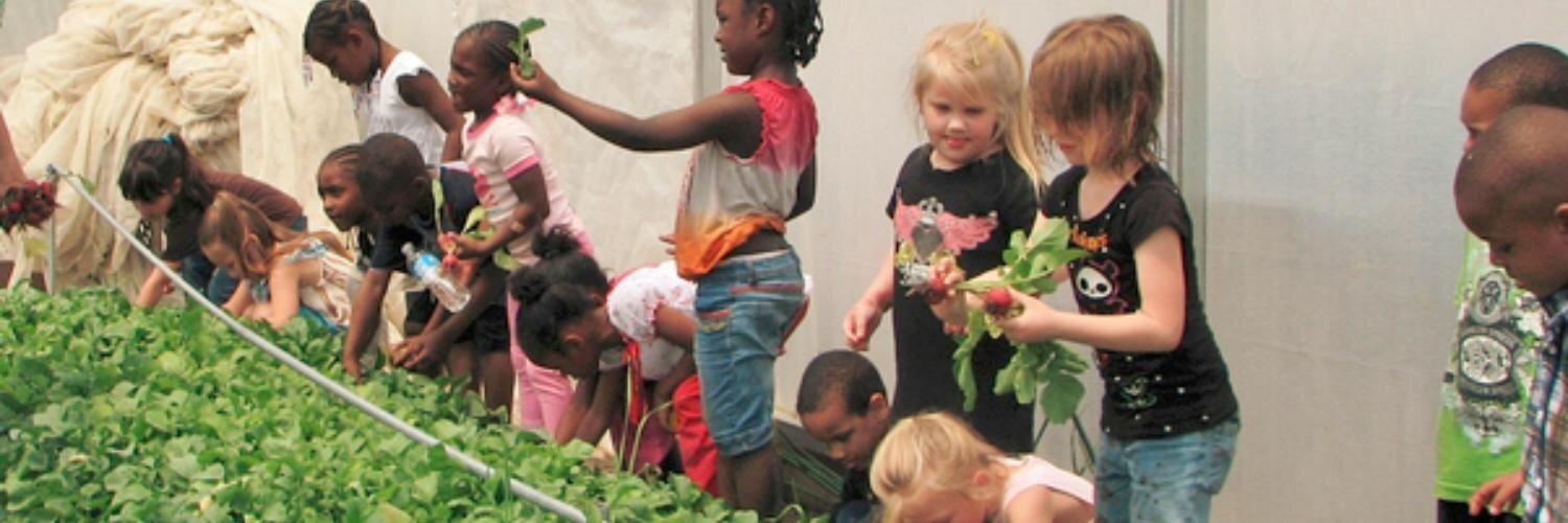DiscoverPlace's profile banner image