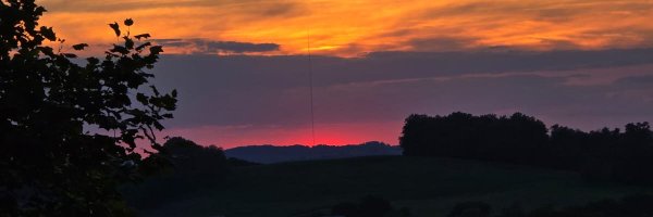 Jaeced Profile Banner