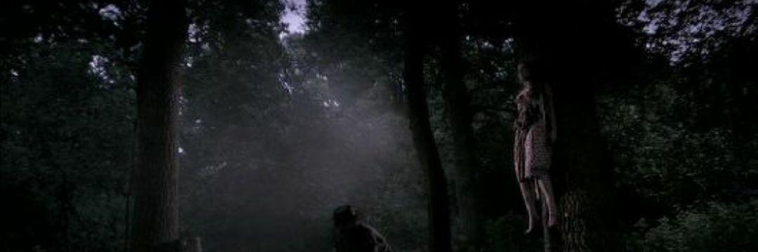 txeets_vises's profile banner image