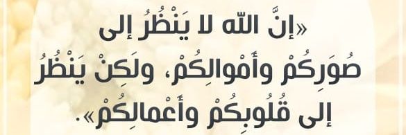 05023maged1's profile banner image