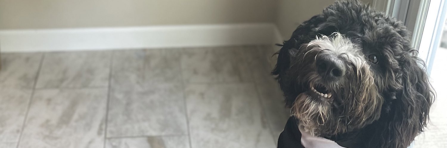 AnnaBallard22's profile banner image