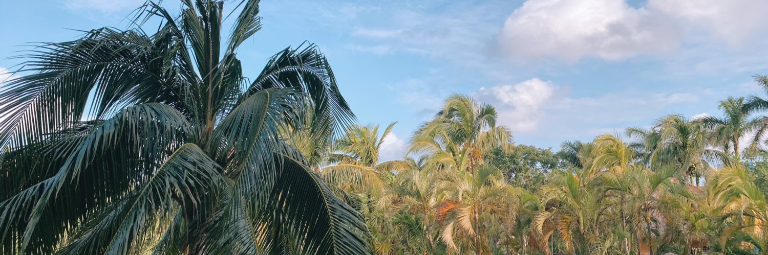 hannahherma's profile banner image