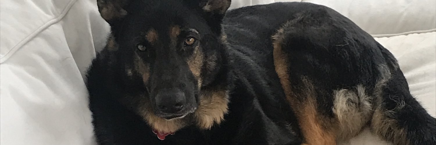chriskernohan's profile banner image