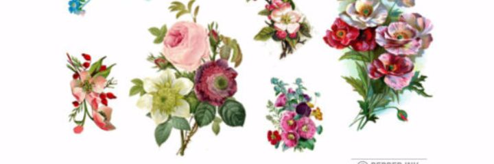 kikaduran's profile banner image
