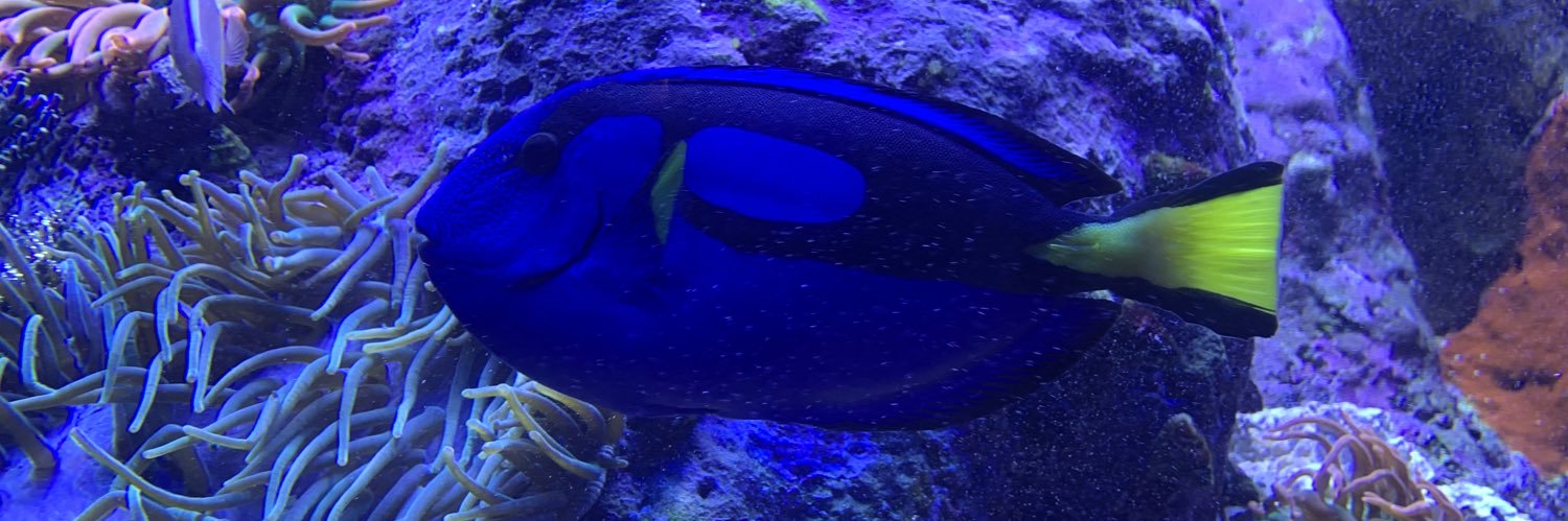 Mandik4410's profile banner image