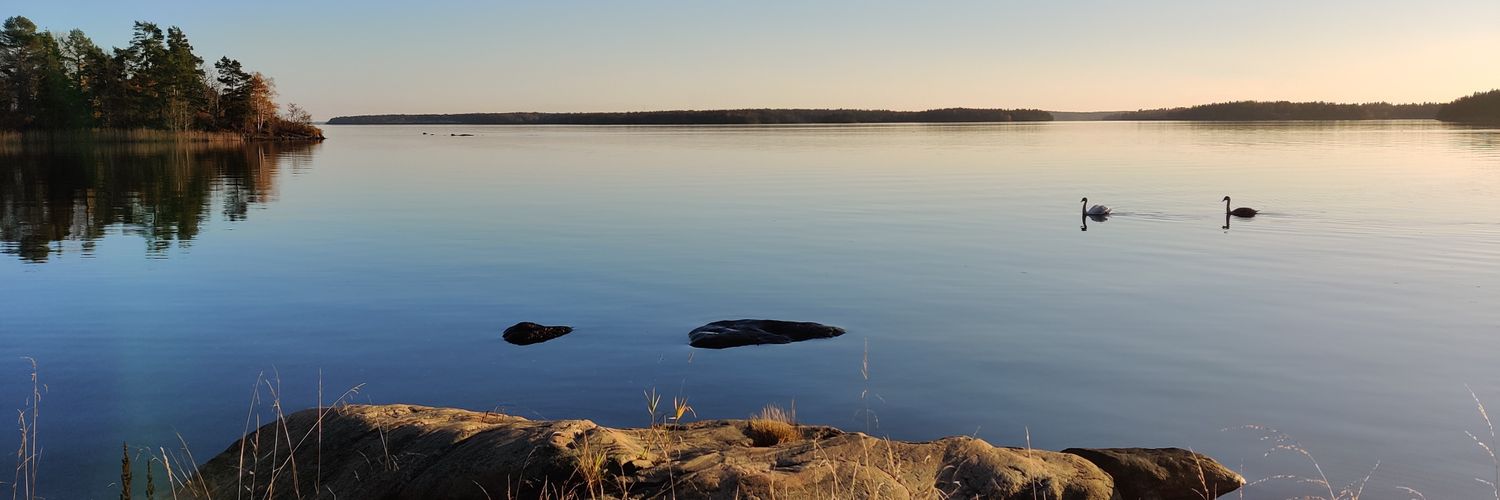 Netanel Klein banner