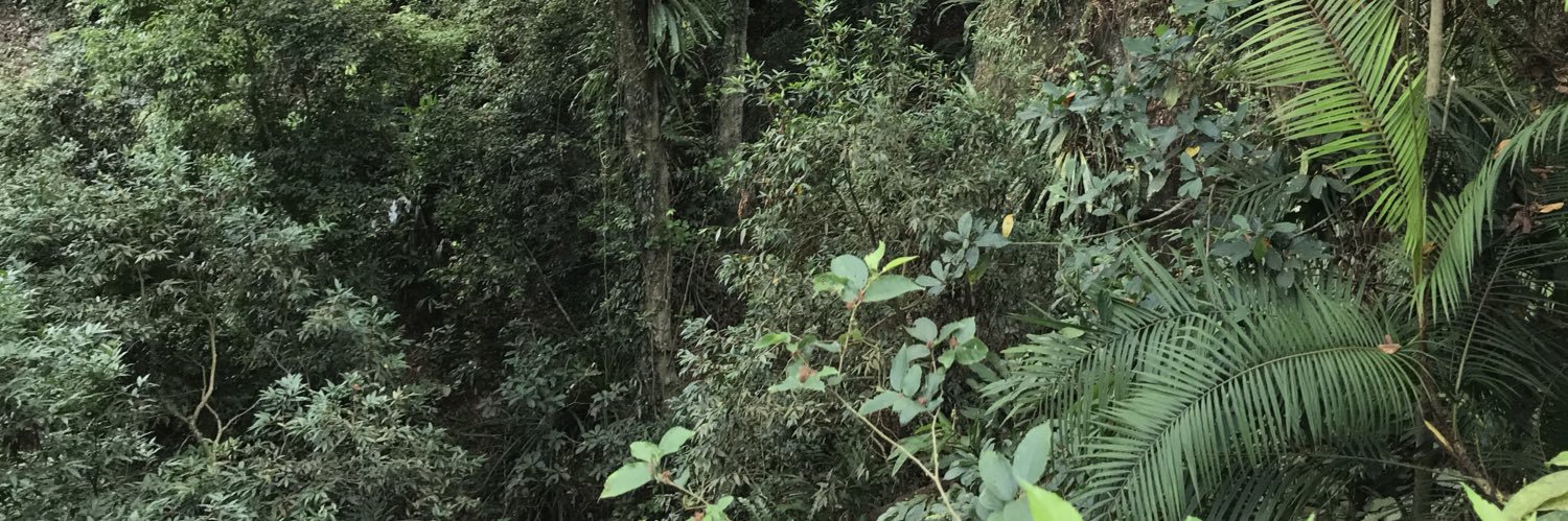 wild_westhero's profile banner image
