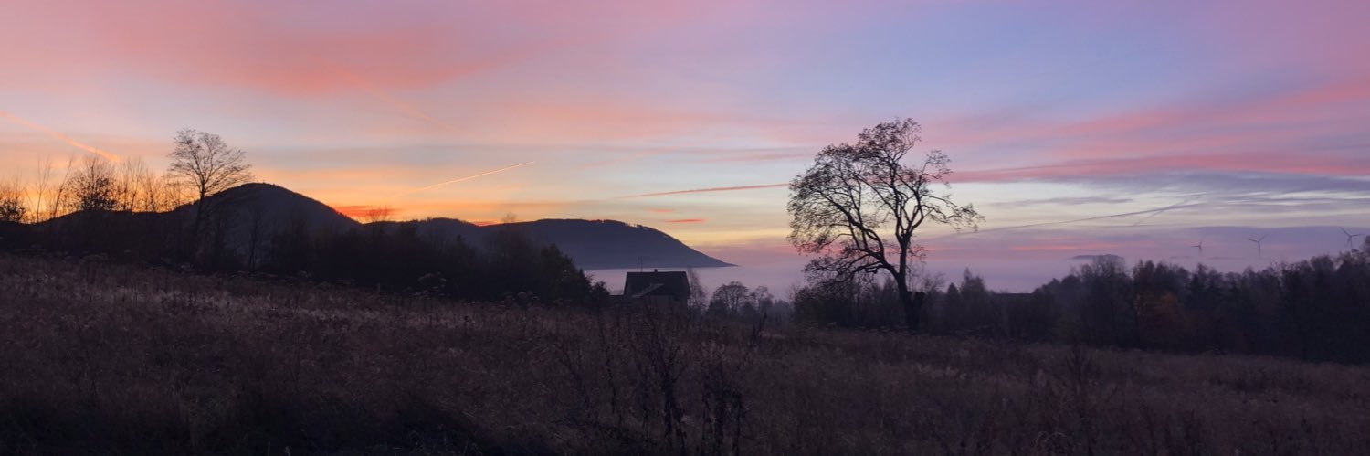 Vaclav Stransky banner