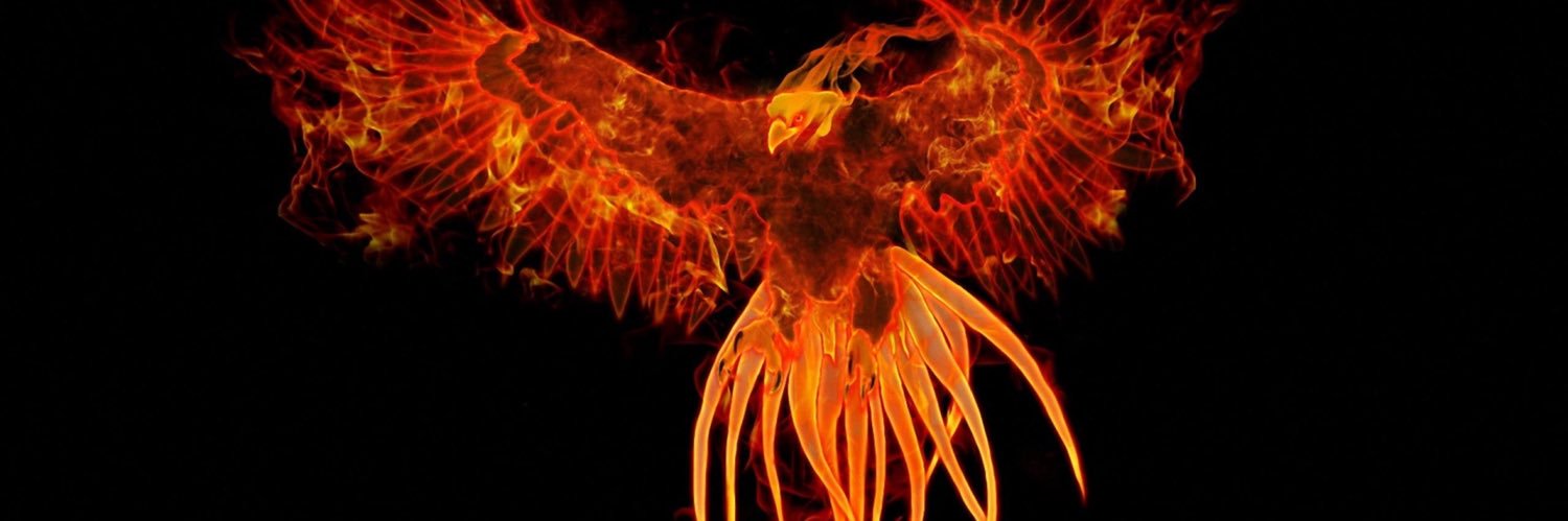 halilkaraca's profile banner image