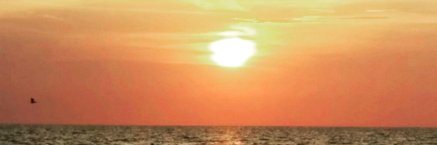 mf1786's profile banner image