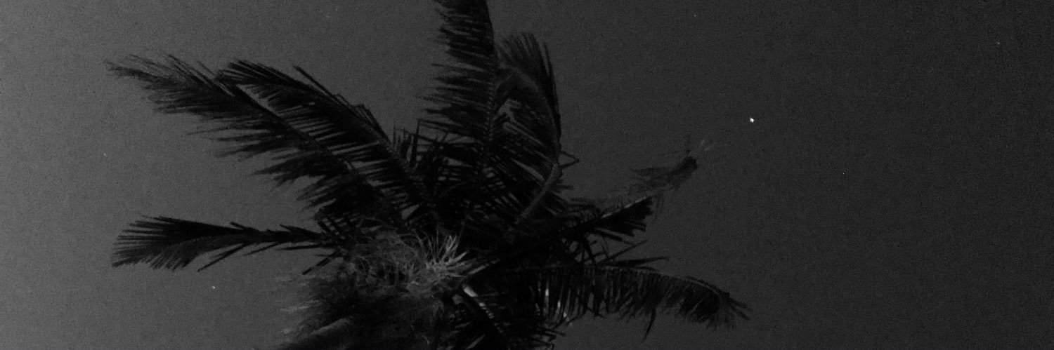 pituelias's profile banner image