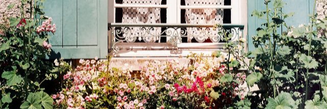 FiercelyLux's profile banner image