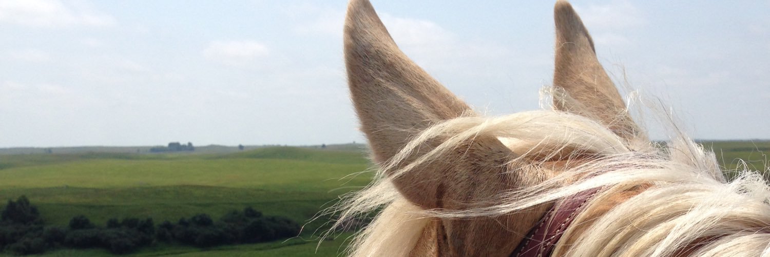 Alana_Caron's profile banner image