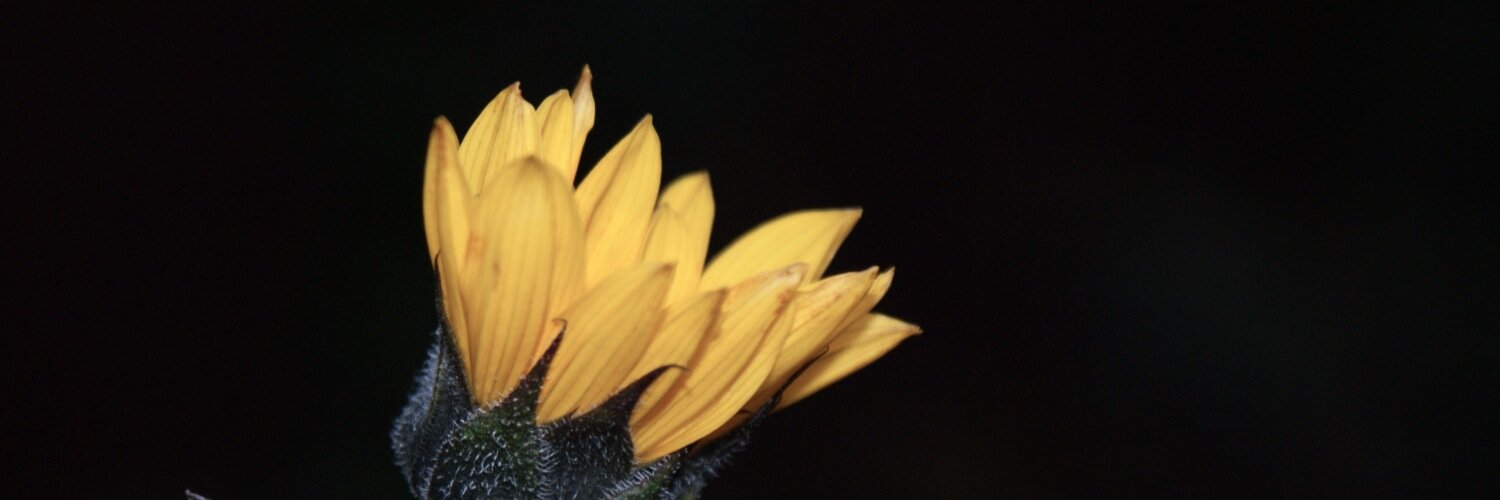 Breckias's profile banner image